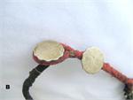 Double Coin Clasp Closure